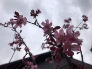 88E903F0-203C-432E-B5B1-D3F088C4D71A