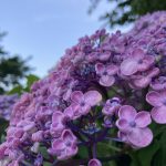 B5E11588-C556-4DD7-95A0-631558EB2661